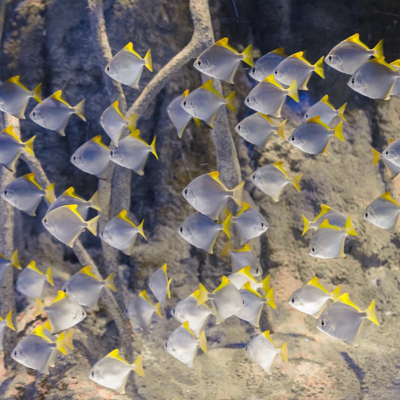 Atlantis Aquarium Madrid